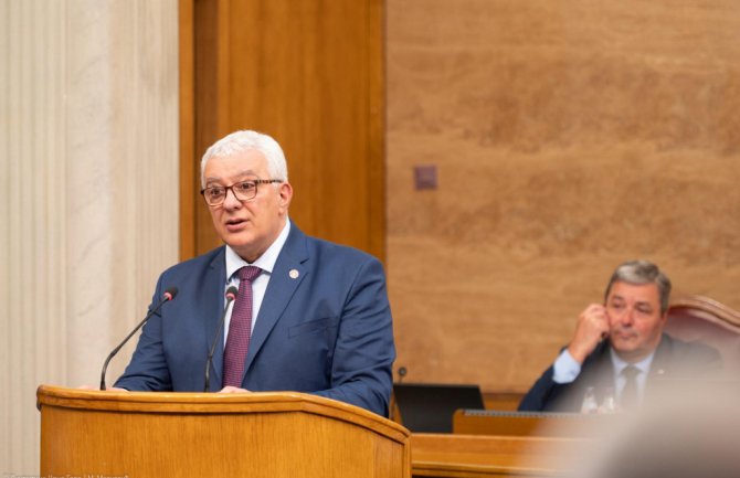 Mandić: Glasanjem o rezoluciji o Srebrenici Crna Gora bi okrivila srpski narod